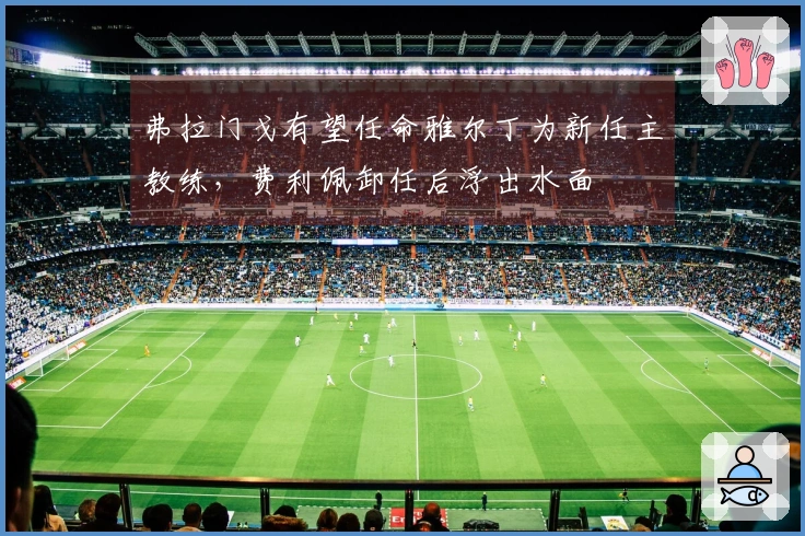 弗拉门戈有望任命雅尔丁为新任主教练，费利佩卸任后浮出水面