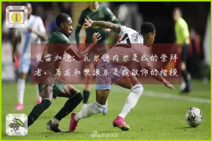 莫雷加德：瓦尔德内尔是我的崇拜者，马龙和樊振东是我敬仰的楷模